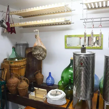 Healthy House Glamping Kamp alanı *