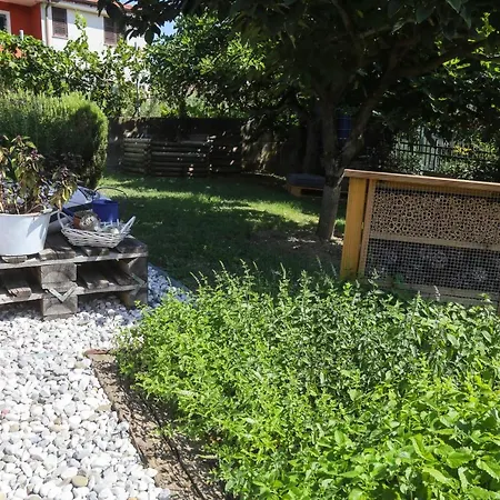 Healthy House Glamping キャンプ場 *