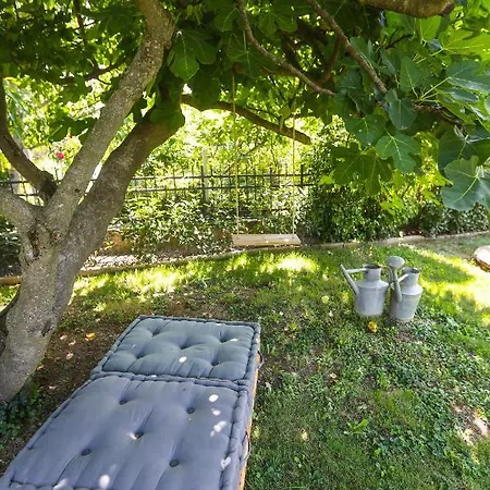 Healthy House Glamping Campsite