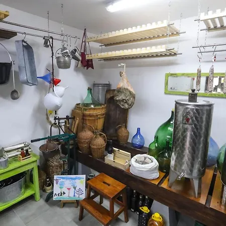 Healthy House Glamping