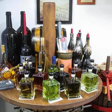 キャンプ場 Healthy House Glamping