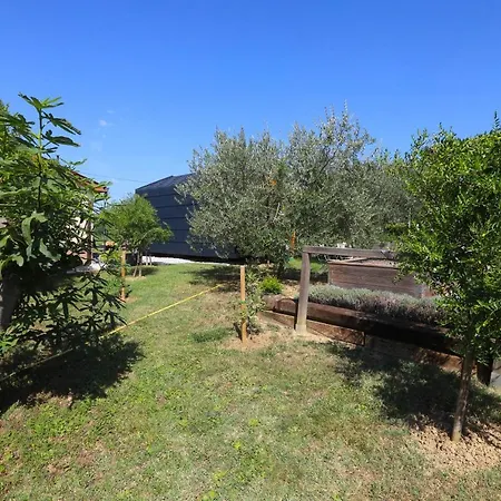 Healthy House Glamping Kamp alanı *