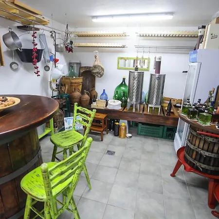 Campsite Healthy House Glamping