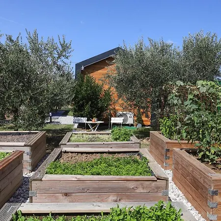 Healthy House Glamping Kamp alanı *