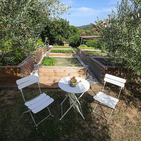 Kamp alanı Healthy House Glamping *