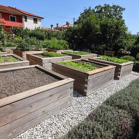 Campsite Healthy House Glamping Koper