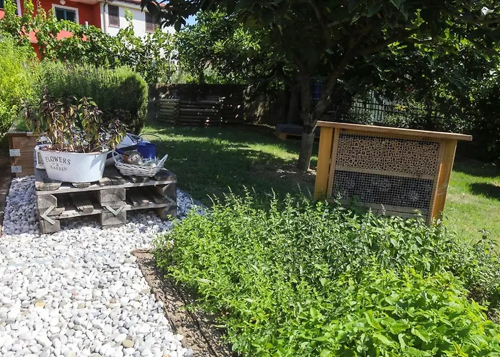 Healthy House Glamping Campingplads *