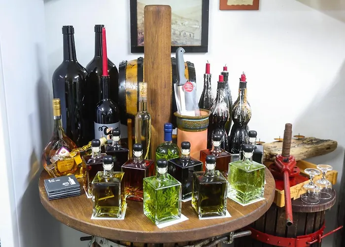 Campingplads Healthy House Glamping