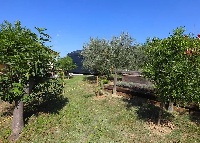 Healthy House Glamping キャンプ場 *