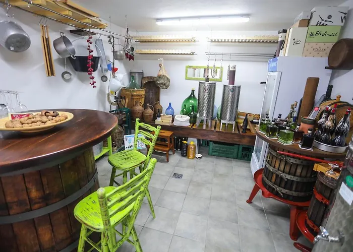 キャンプ場 Healthy House Glamping