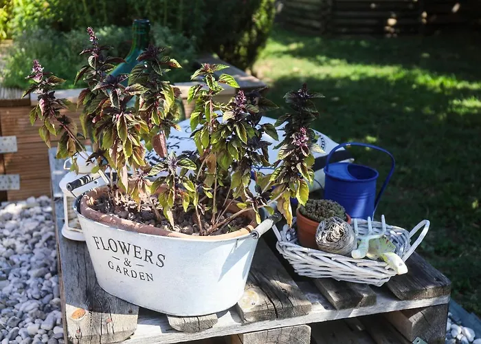 キャンプ場 Healthy House Glamping *