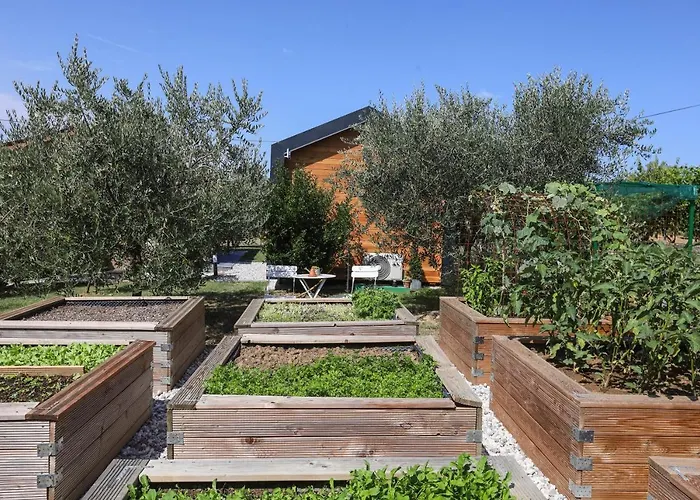 Healthy House Glamping Campingplads *