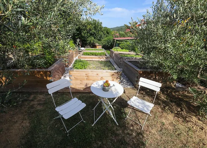 キャンプ場 Healthy House Glamping *