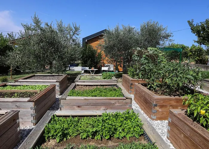 Healthy House Glamping Koper