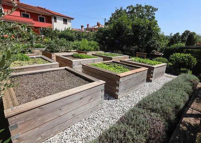 Campingplads Healthy House Glamping Koper